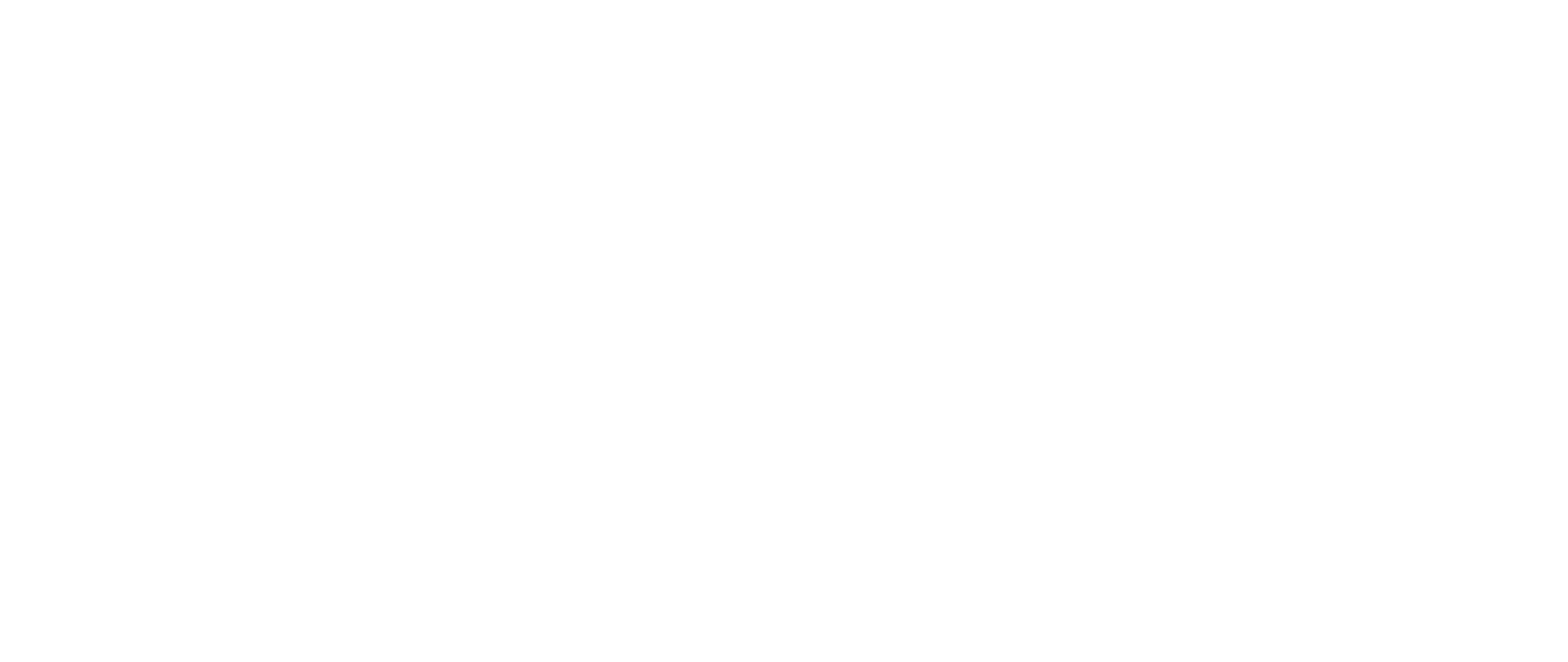 PPE_Main_Logo_Red_All-White